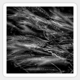 Scrubland Grass Abstract Sticker